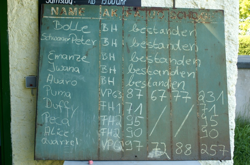 weiß auf grün - die Ergebnisse