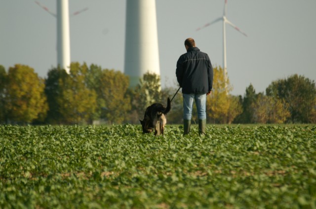 Fährtenmeisterschaft 2010