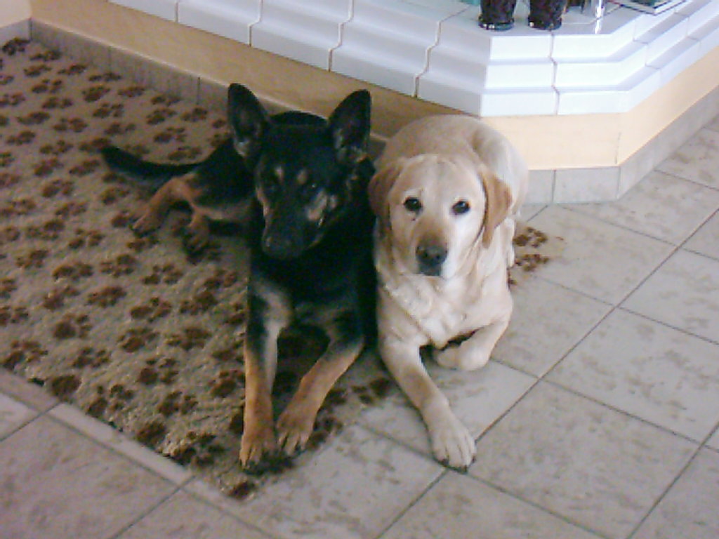 Amanda (rechts) mit Buffy